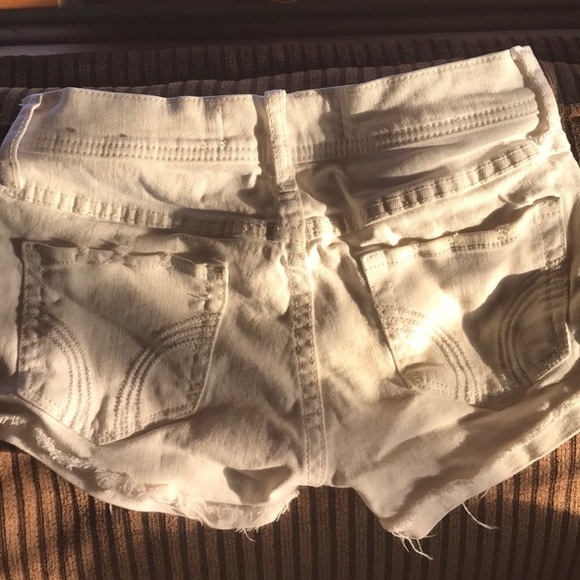 Size 23/00 holistic shorts - Picture 2 of 3